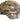 OCP Advanced Combat Helmet Cover